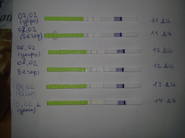 Помогите пожалуйста определиться с О!