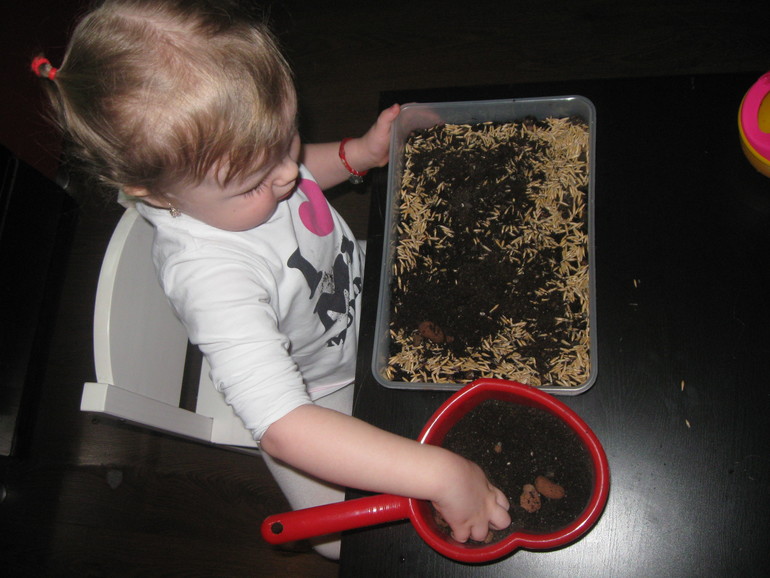 Вариант коробочки для ТН "Насекомые"