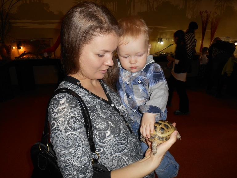 Лесное посольство)))