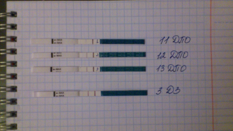 Не долго продлился мой отпуск!!!)))Я Счастлива!!!