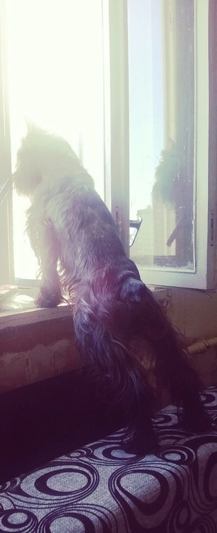 Цвержачья весна :)