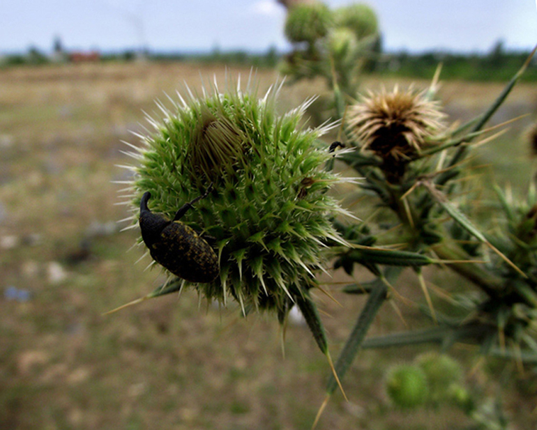 Контрольное задание № 25. "Выравниваем линию горизонта"