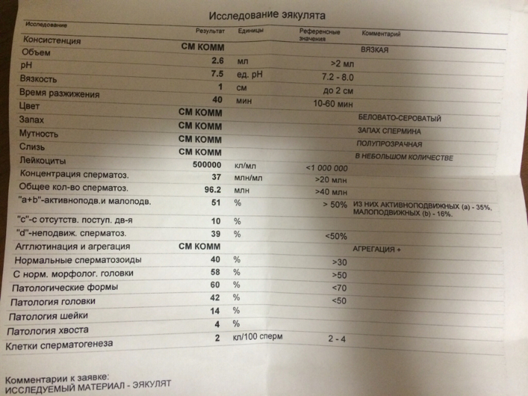 Посмотрите пожалуйста!!