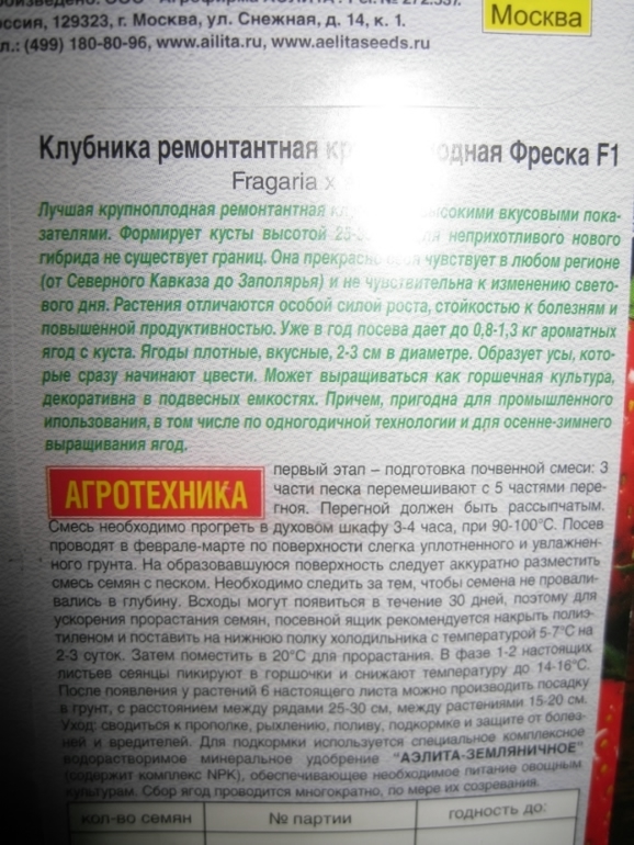 как сажать,где покупать,что посоветуете по посадке?