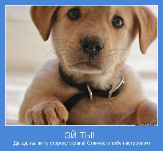 : ))