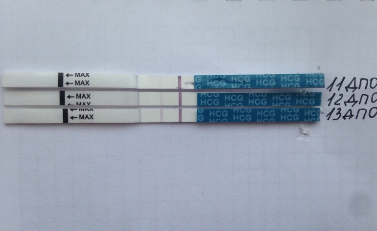 Наконец и мой график беременный!!!!!! ( и полосатики)