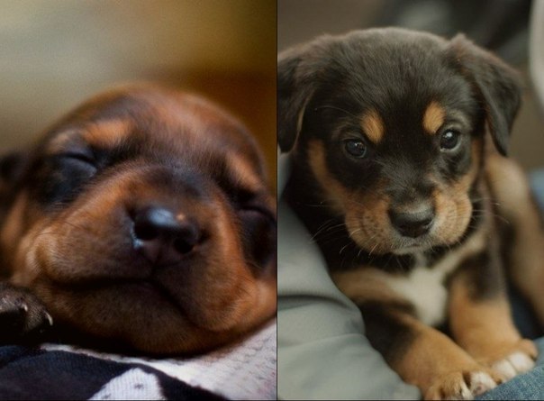 Дети, они такие... дети)))