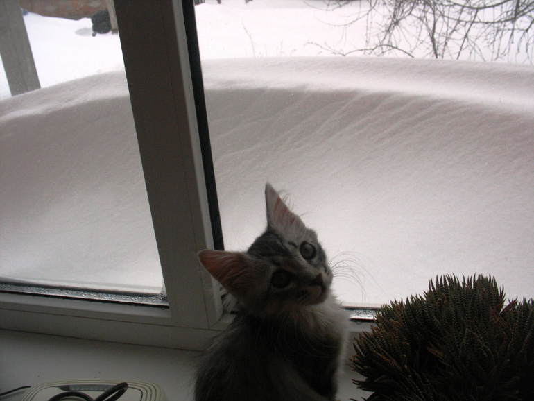 Мотя и снег