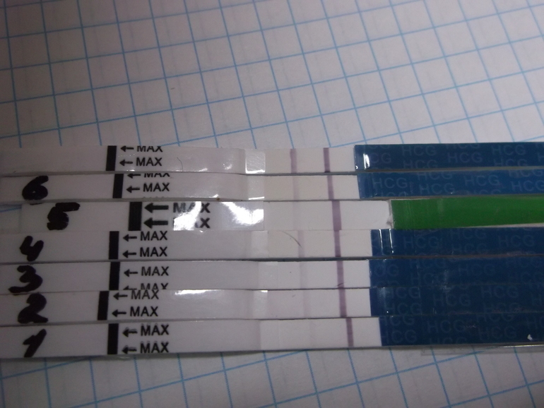 Как поверить в ТАКОЕ СЧАСТЬЕ? И не спугнуть ...