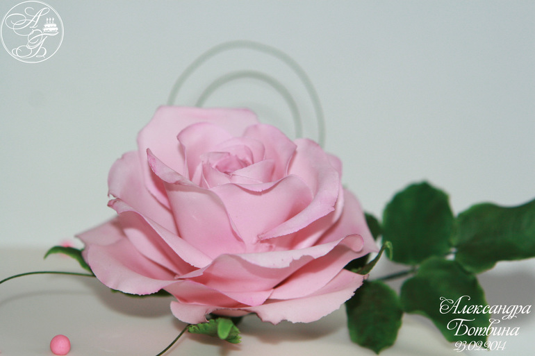 Розочка!!!