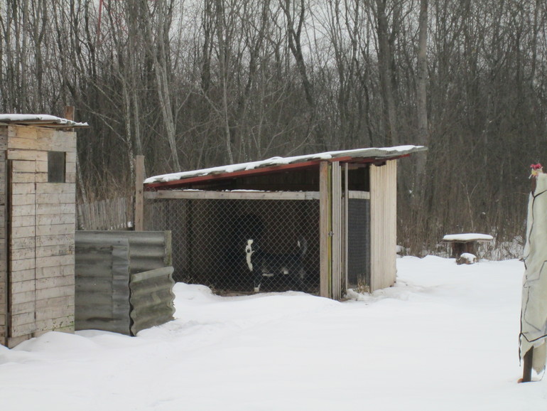 Продается дом на участке 15 соток,Новая Рига 140км.