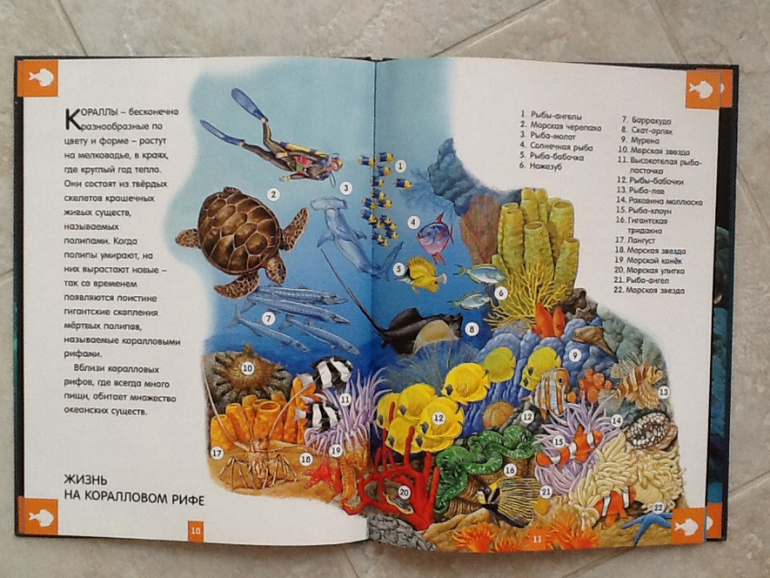 Книги, которые никак не уходят с кухонного стола