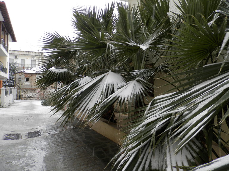 Салоники в снегу