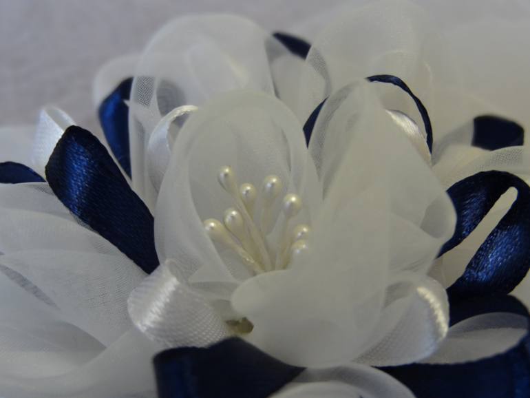 Летнее увлечение