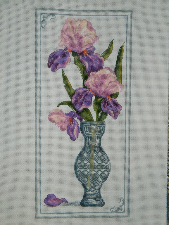 Мои первые шаги