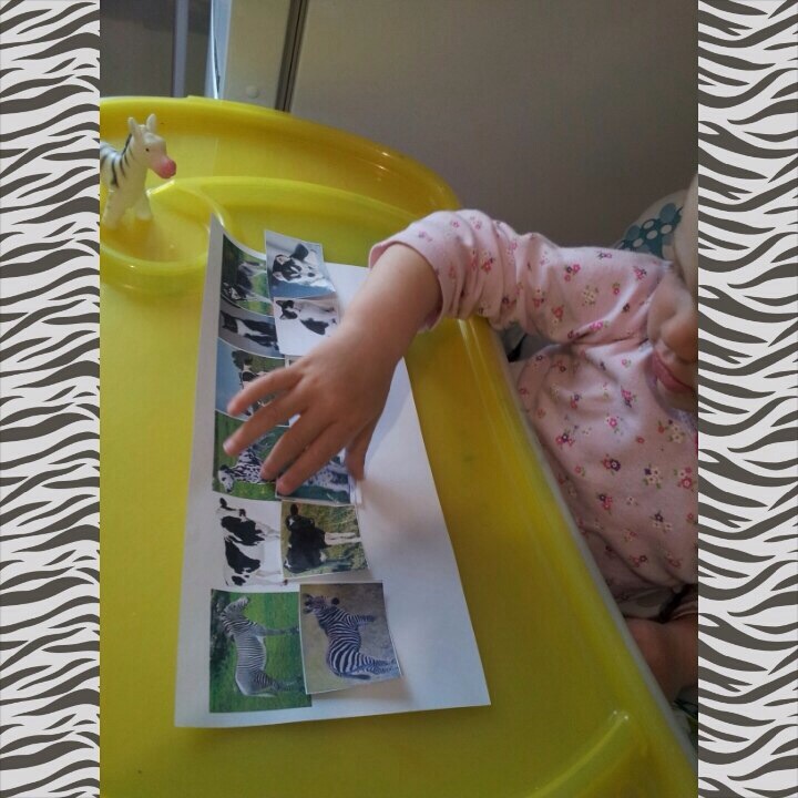 ТЗ" Какого цвета зебра?"