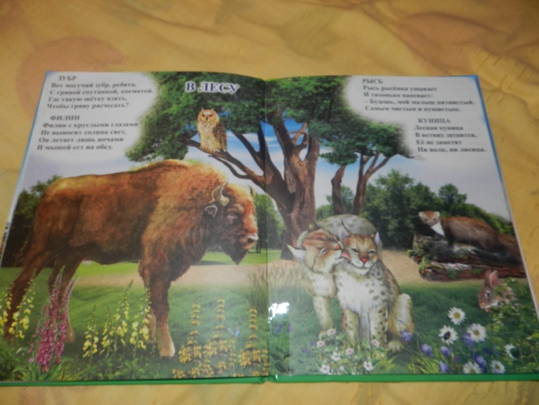 книга о животных
