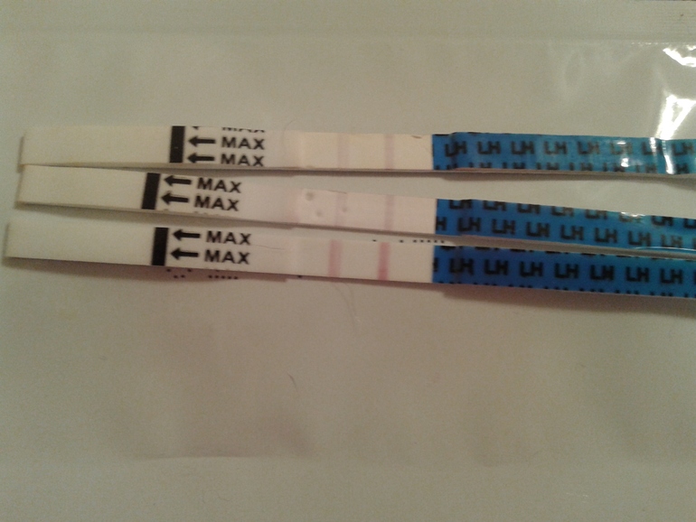 либо она, либо совсем близко!