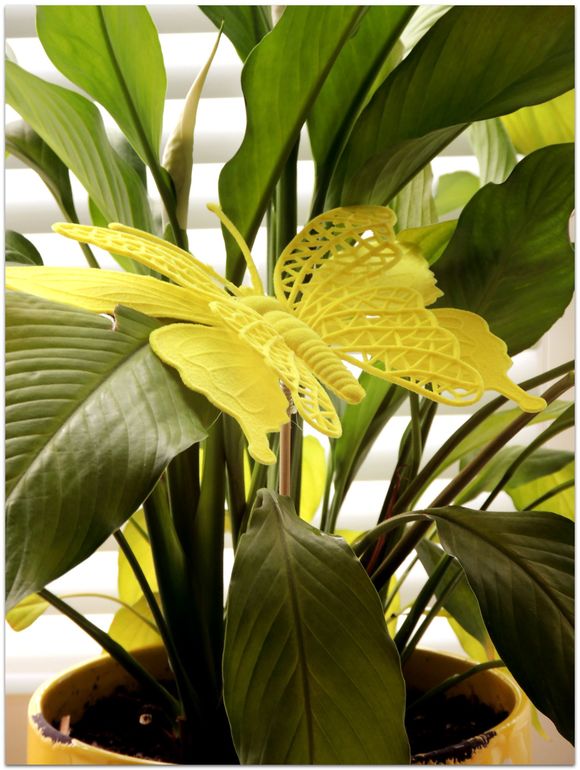 А у меня двойное "пополнение" :)