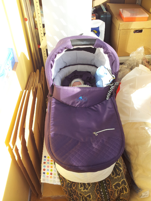 Noordline Edel Viva 2 в 1 плюс адаптер для Макси кози. 17000. почти новая (бу 3 месяца и редко)