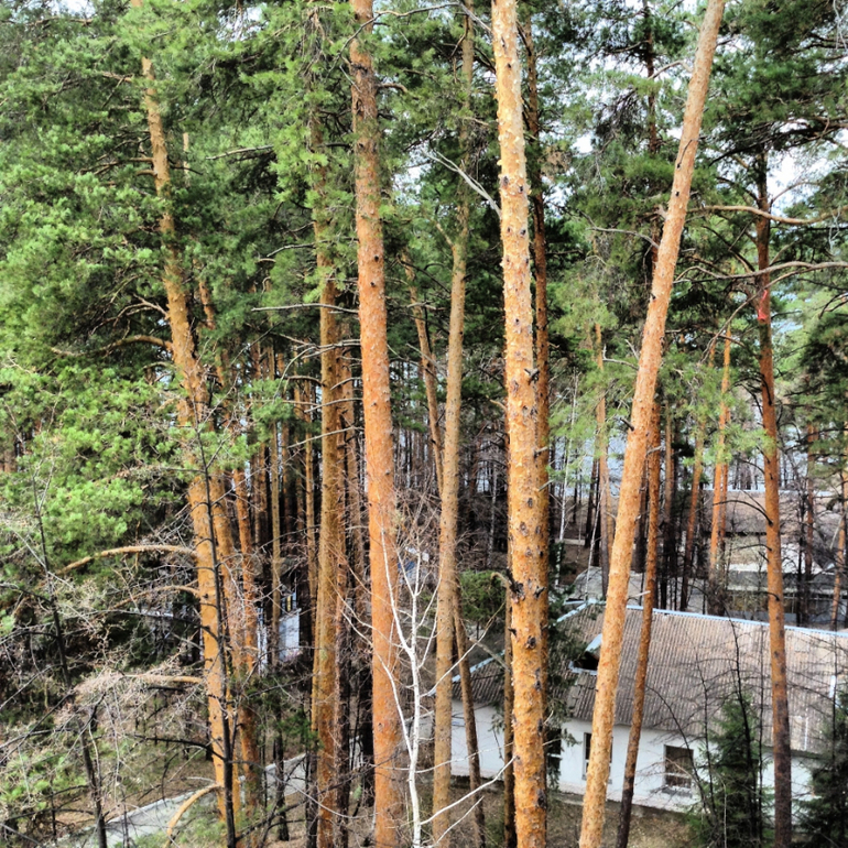 Все и обо всем.)