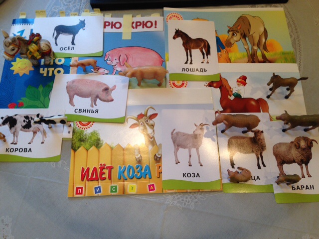 Тематическое занятие - домашние животные.