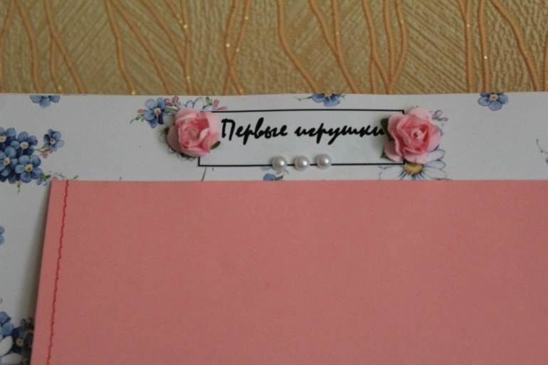 Альбом для малышки "Первый год жизни")