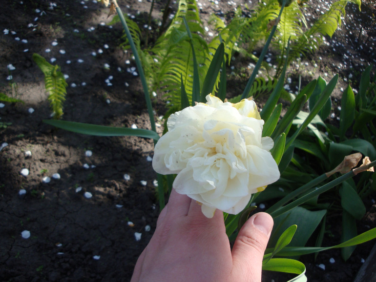 Гостим в Кировограде