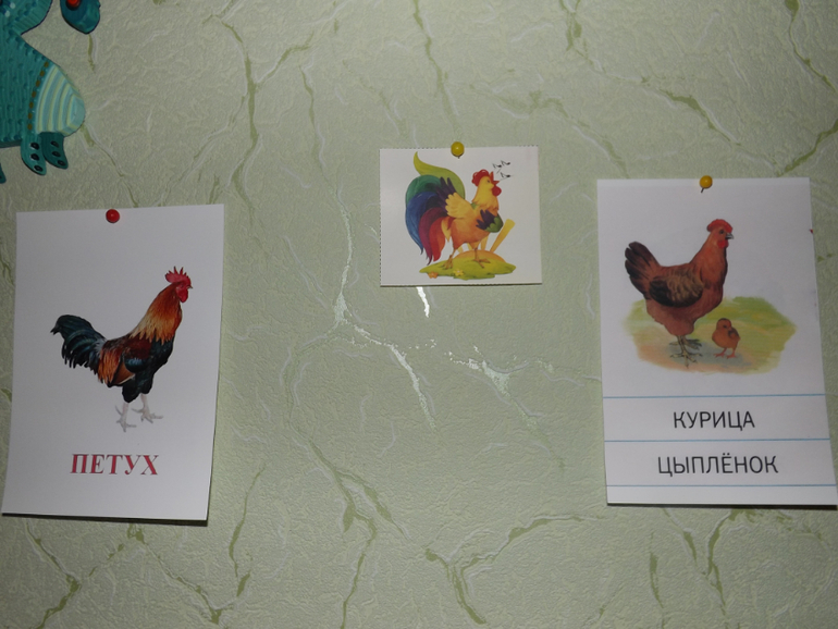 Наш отчет ТЗ "Курица, петух, цыплёнок" День 2 Курочка и цыпленок