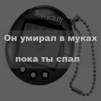 Улыбнуло)
