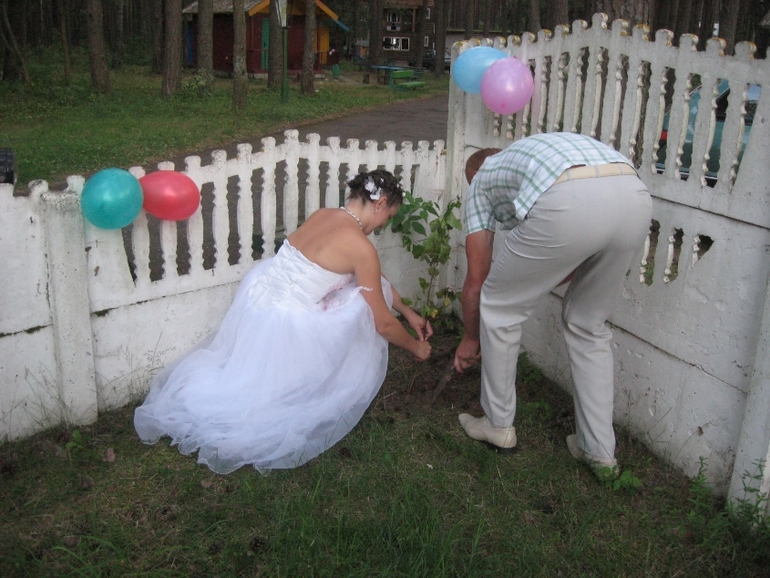 Деревянная годовщина свадьбы!