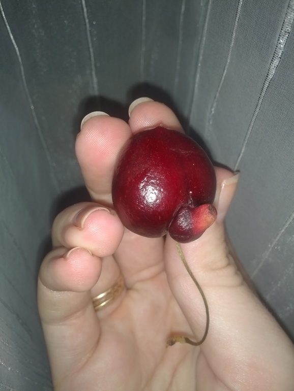 Даже не знаю как отреагировать)))))