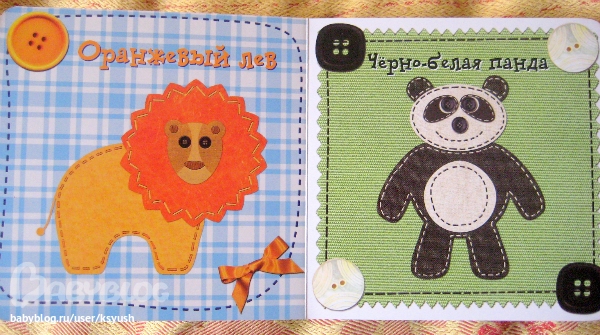 Разноцветный попугай.