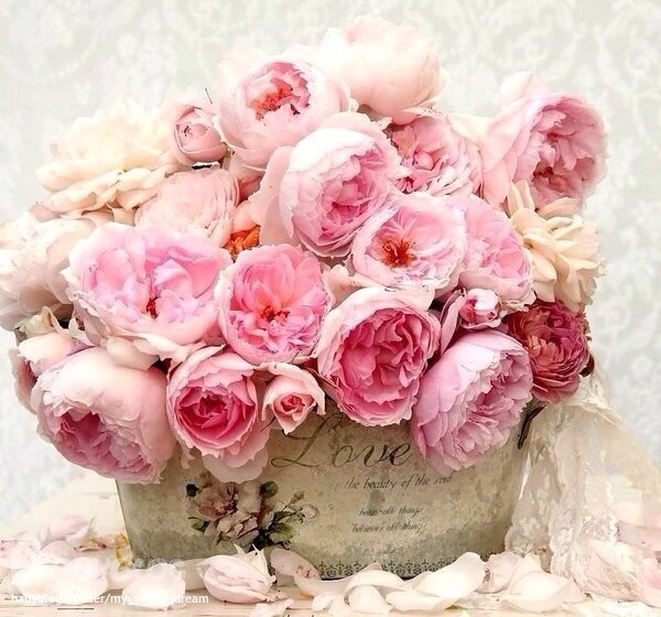 Стихи с днем рождения красивой бабушке