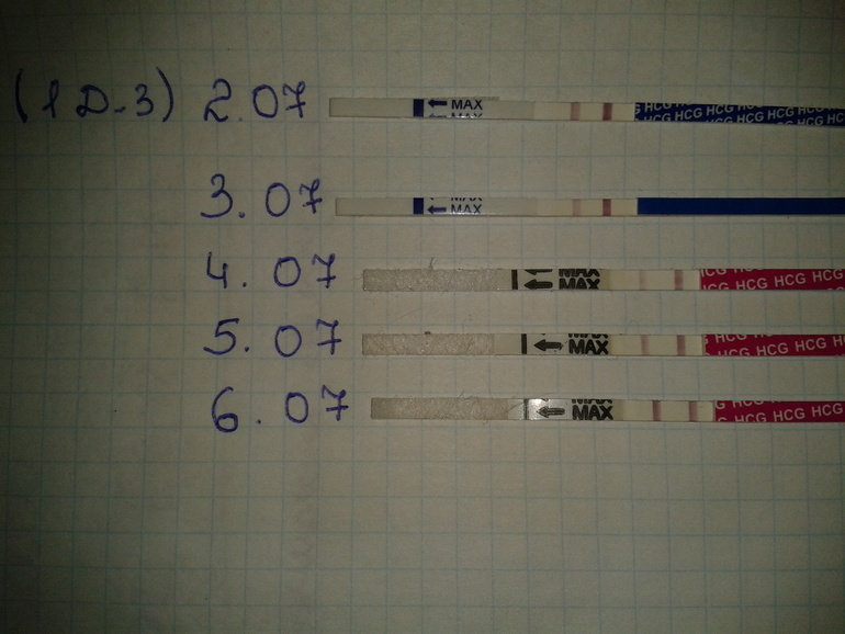 Девочки пожалуйста прокомментируйте динамику !!!!!