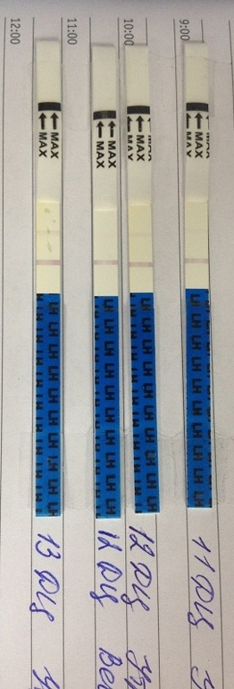 Подскажите не опытной про овуляцию)