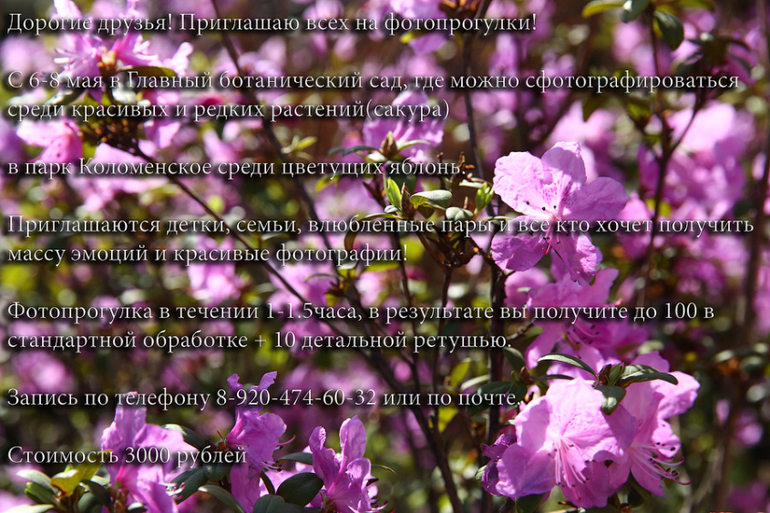 Фотосессия