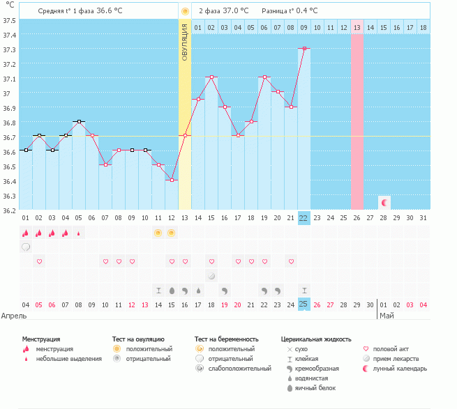 С завтрешнего дня начинаю тестоманить....