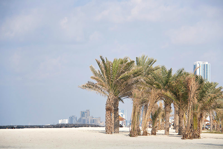 Шарджа. Пляж.