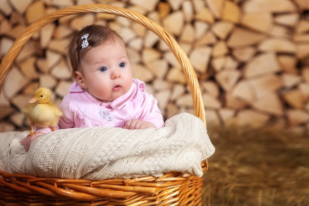 Хорошо в деревне летом!