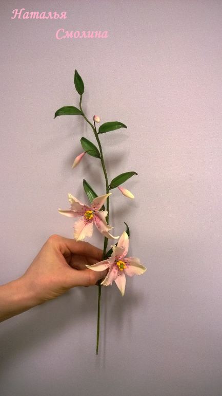 Вот и я побывала на курсах у Жанны Рябковой!