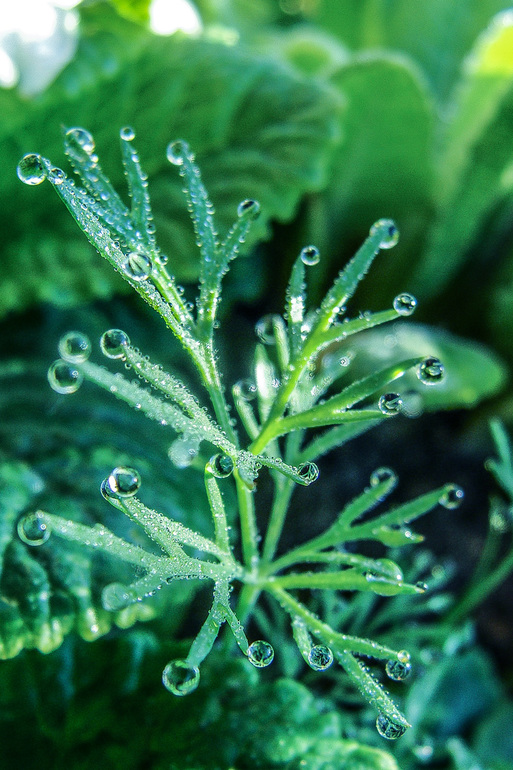 вот такая у нас весна-красна