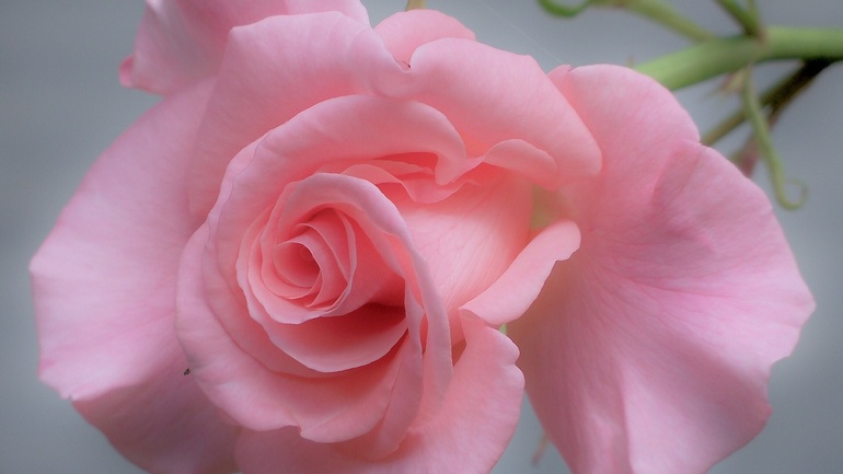 Каждую секунду Вы - совершенны!