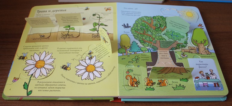 Дневник читателя май (2 года)