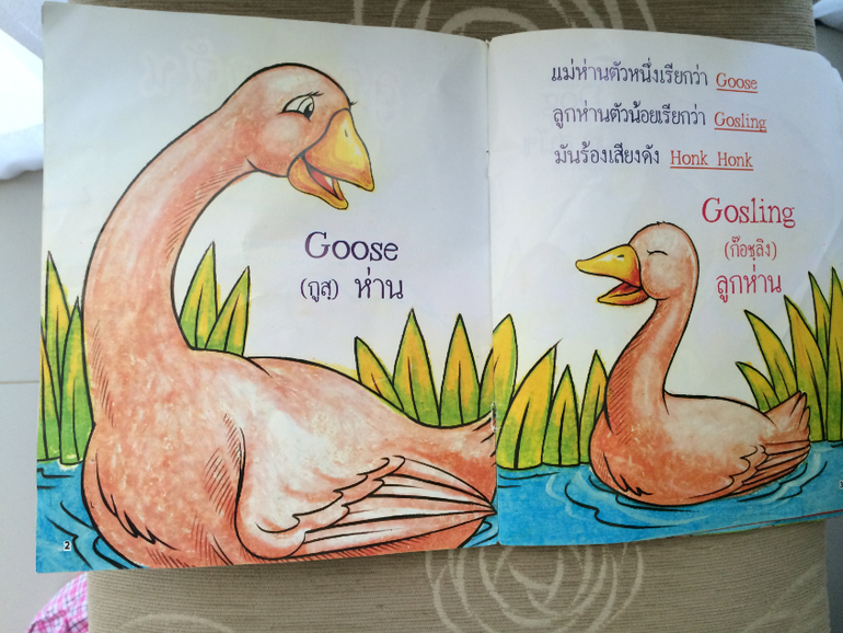 Наши Тайские книжки :)