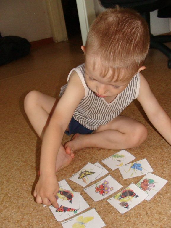 ТЗ "Бабочки-красавицы" проекта "Гуляем-изучаем"