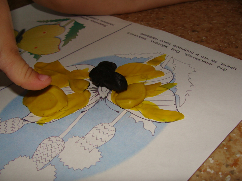 ТЗ "Бабочки-красавицы" проекта "Гуляем-изучаем"