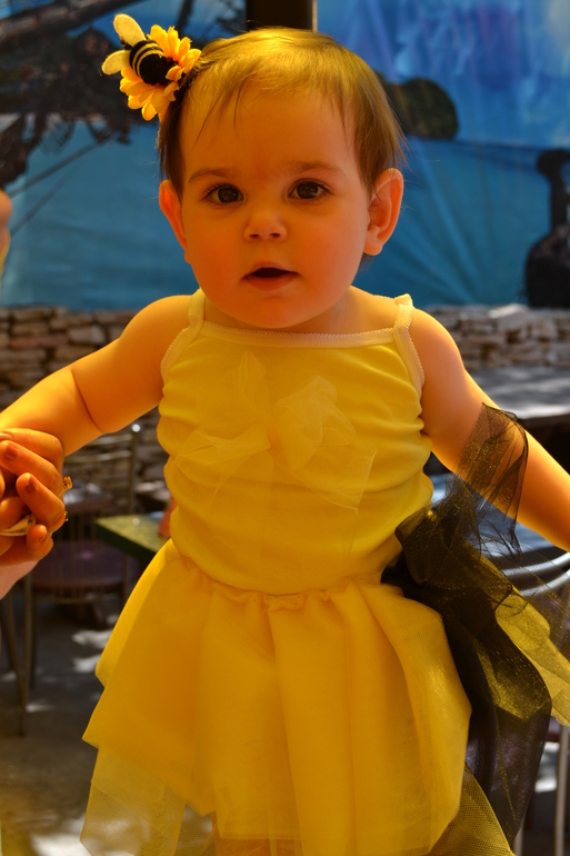 Годик в стиле пчелки)))