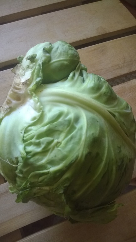 Беременная капуста!