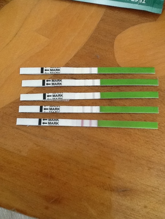 Девочки, подскажите, это она?))